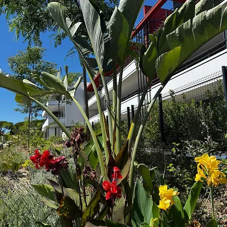 Lejlighed Apartment, Rooftop Pool, Gym & Garden Villeneuve-Loubet